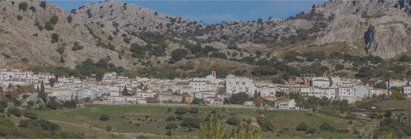 Benaocaz