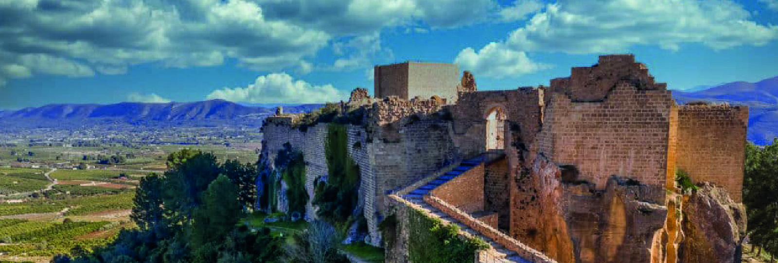 Órdenes