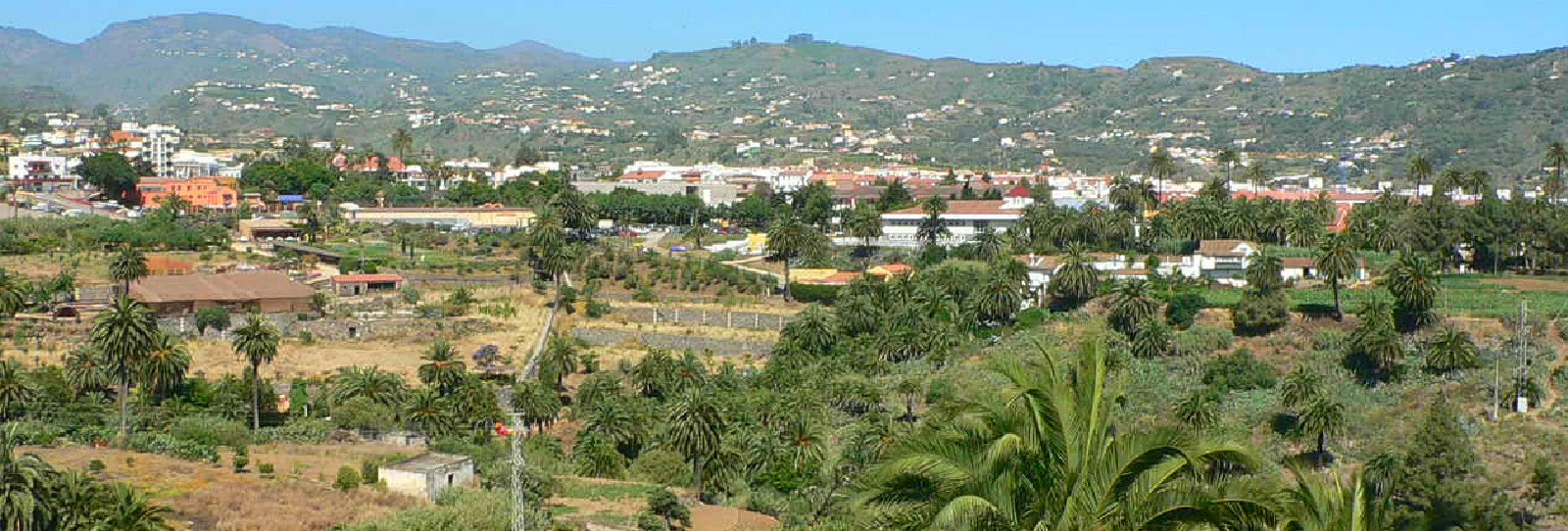 Santa Brígida