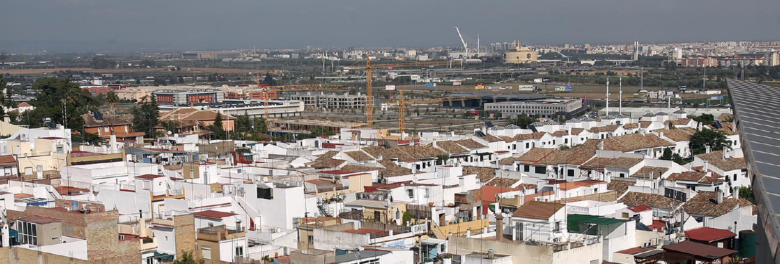 Tomares