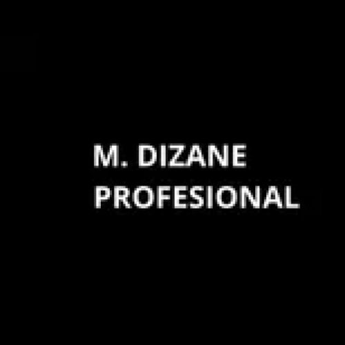 M.DIZANE PROFESIONAL