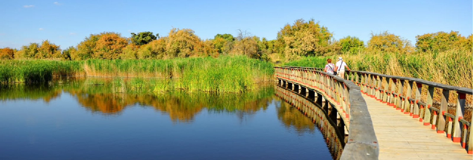 Daimiel