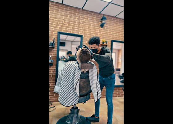 barba corte perfilado