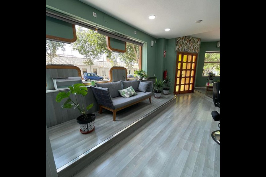 interior oasis barber