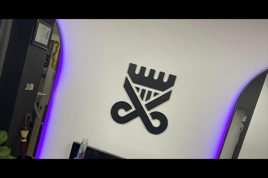 logo demis peluqueros