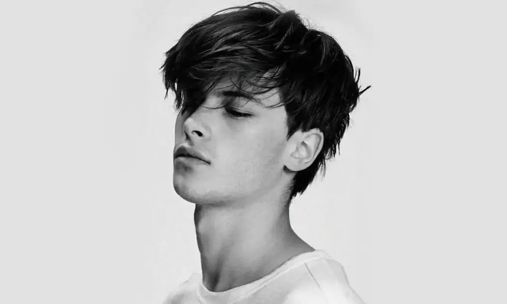 Pelo estilo coreano hombre