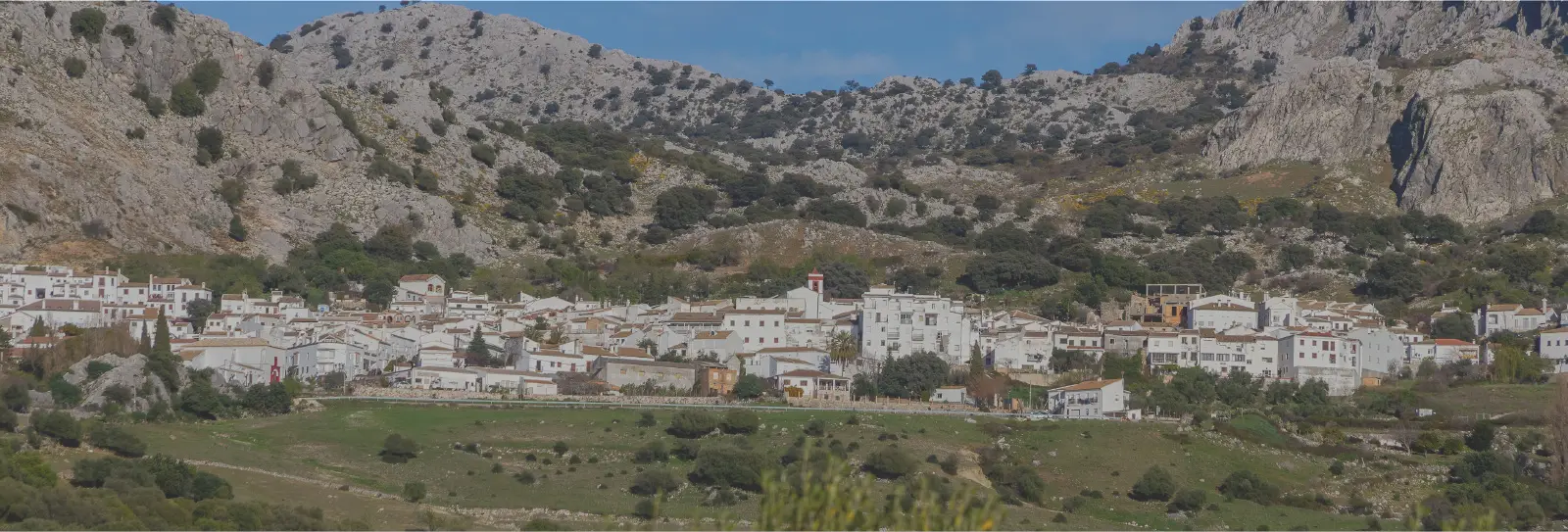 Benaocaz