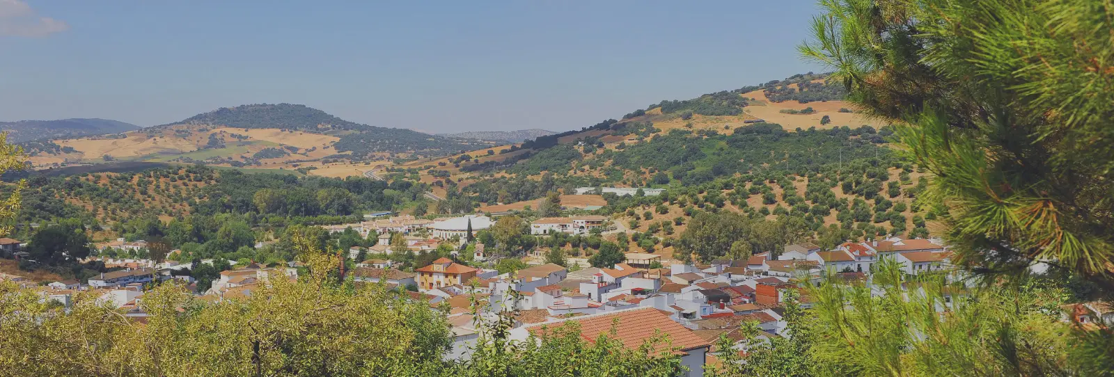 El Bosque