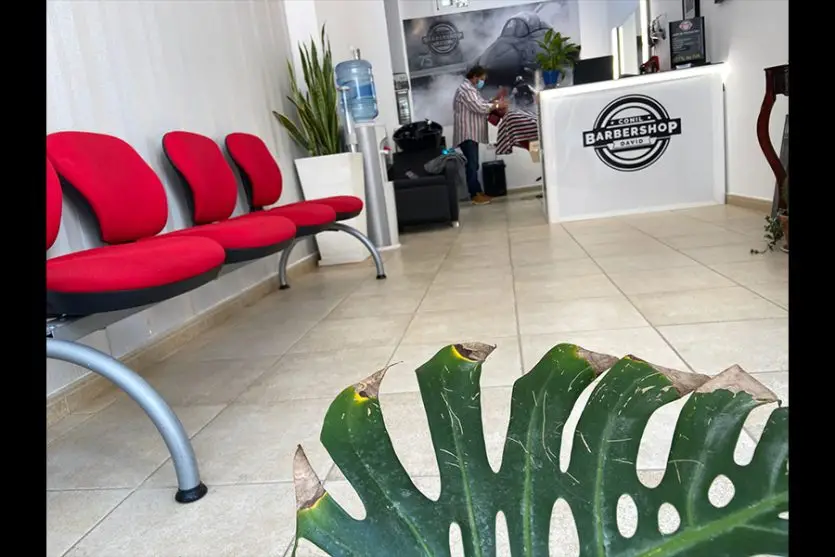 salon barbershop conildavid
