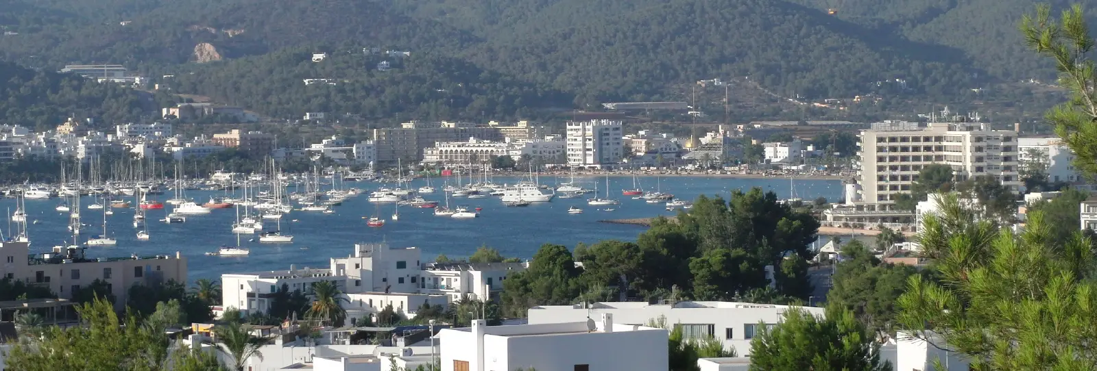 San Antonio Abad
