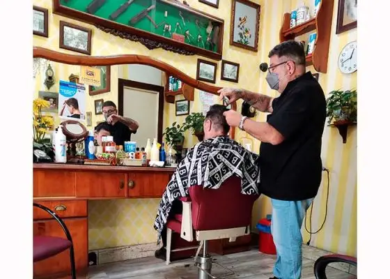 como trabajamos paco barea