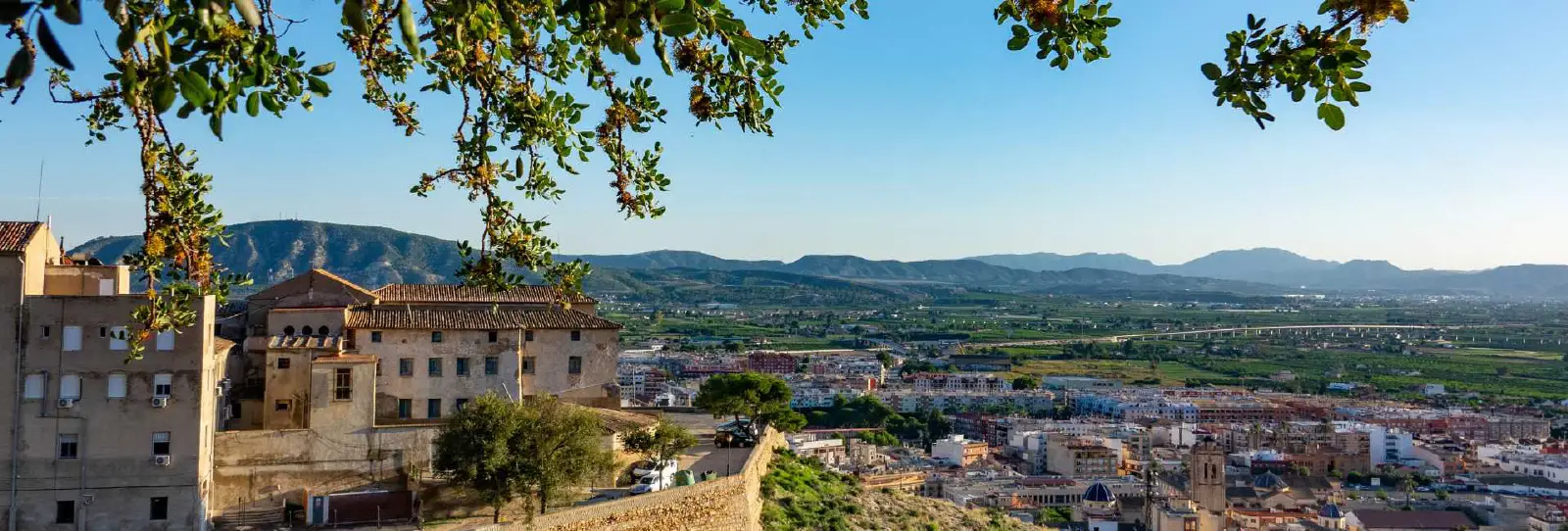Orihuela