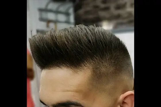caballero lobo peluqueros