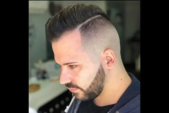 corte adulto la purria studio