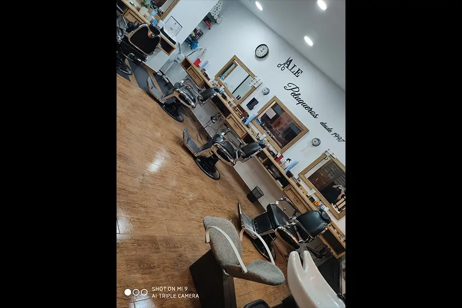 salon barberia ale peluqueros